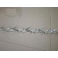 Hot Sales Galvanized Wall Spike